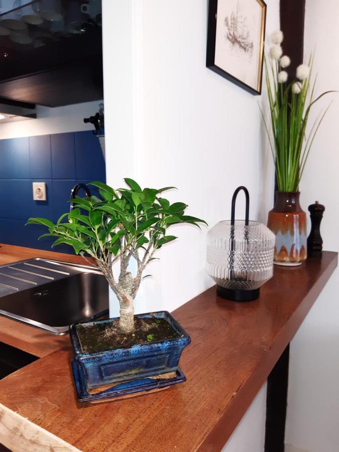Appartement Haute Ville Meuble Avec Cour Privative Granville Kültér fotó